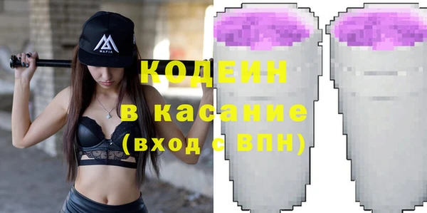 индика Абаза