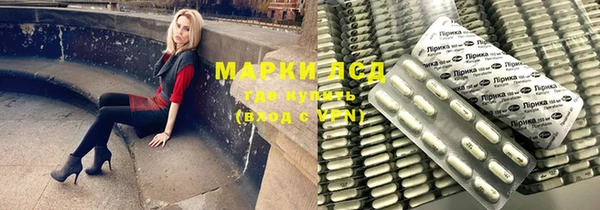 индика Абаза
