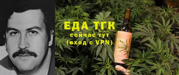 индика Абаза